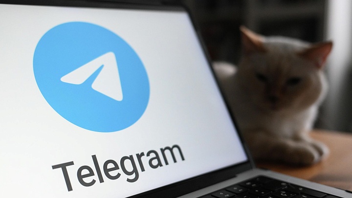 Австралийские власти начали судиться с Telegram — СМИ